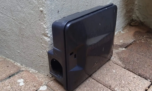 Rodent Bait Station Frontal