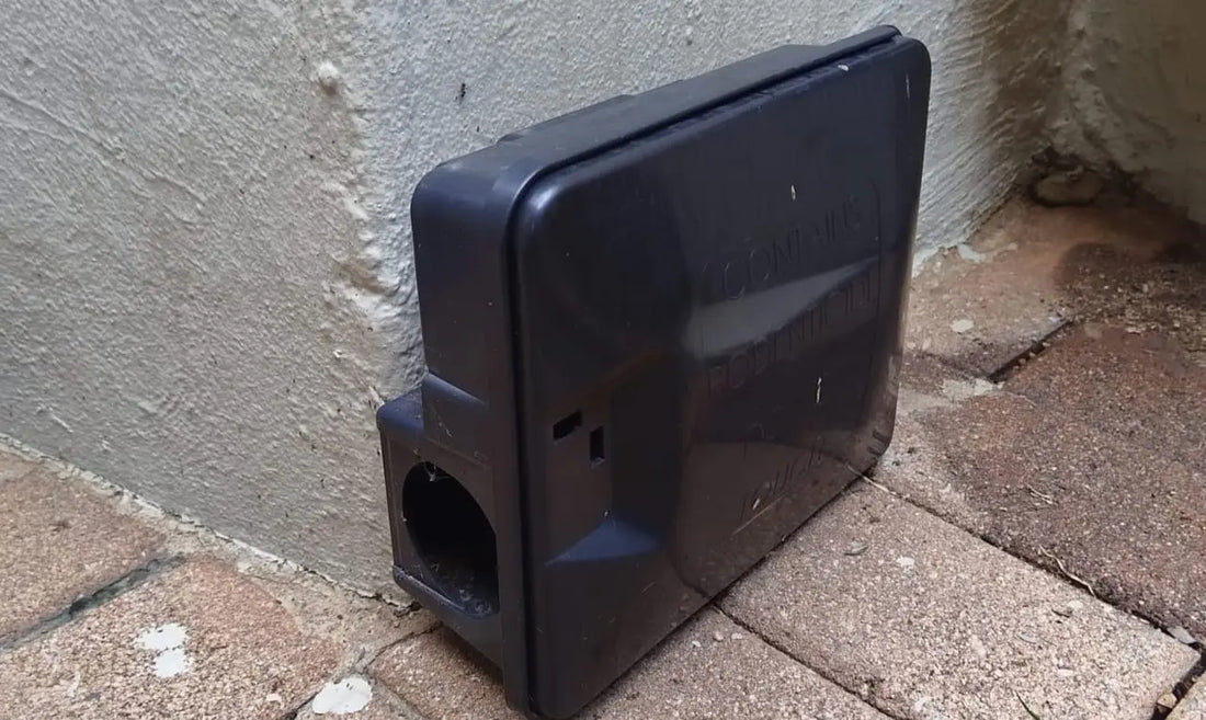 Rodent Bait Station Frontal